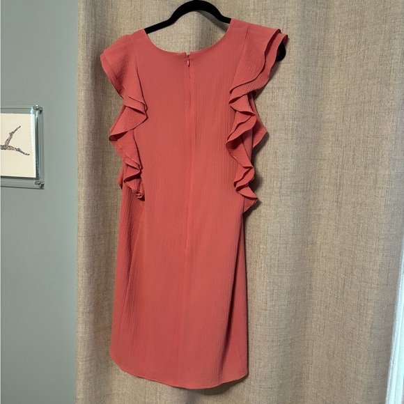 Pink Ruffle Dress - Picture 3 of 4